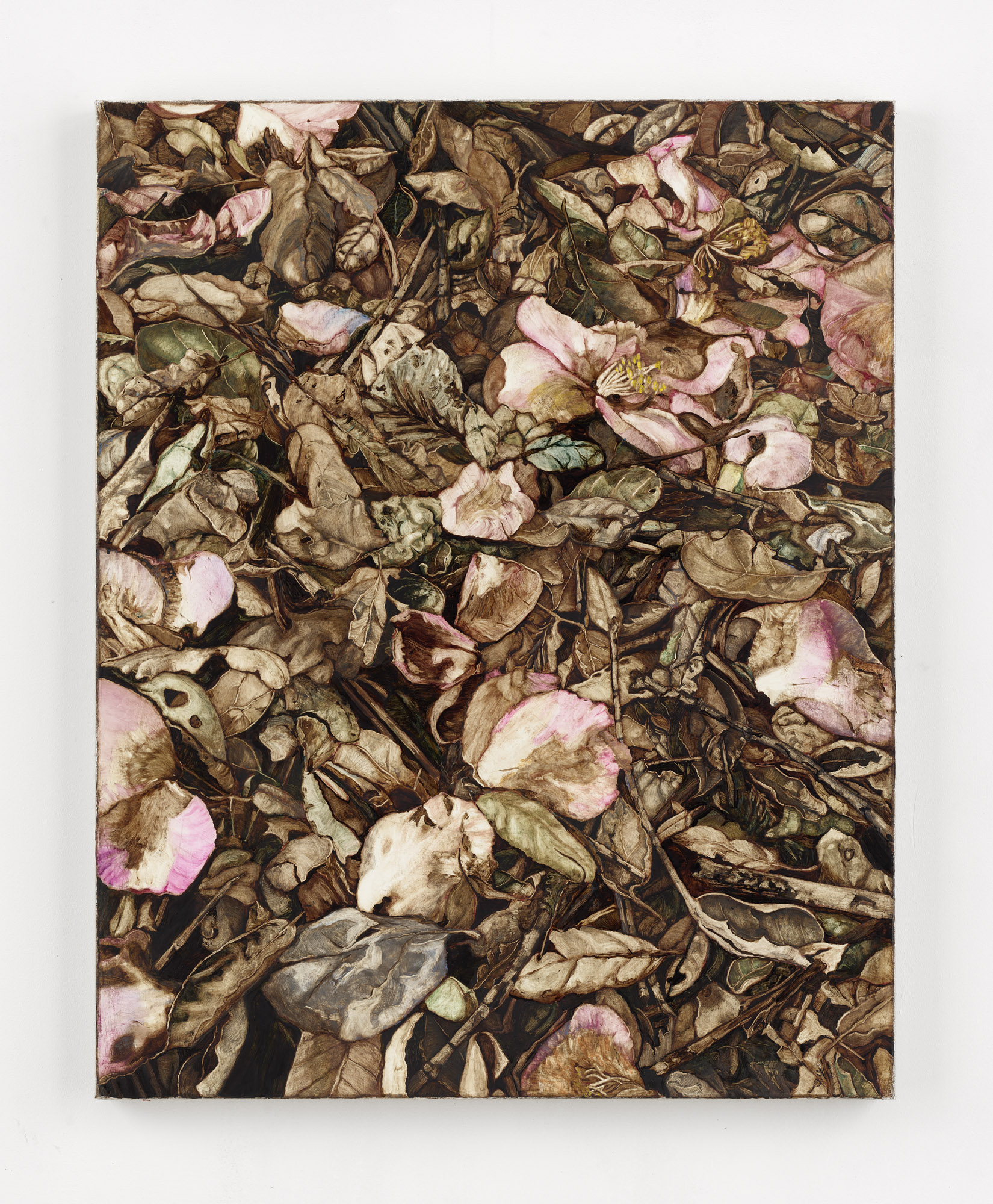 petals and leaves